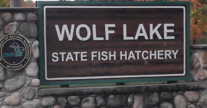 Wolf Lake State Fish Hatchery & Visitor Center | South Haven Visitors Bureau wolf-lake-state-fish-hatchery-visitor-center-south-haven-visitors-bureau